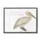 Stupell Industries Be Pelican not Pelican't Funny Beach Phrase Pun Framed Wall Art